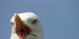 Co blokuje naszą twórczość?