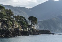 Ile kosztuje system operacyjny Linux?