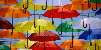 Czy kreatywność jest wartością?