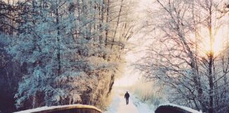 W którym kraju jest najwięcej dni wolnych od pracy?