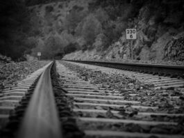 Jak zacząć szkolić ludzi?