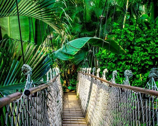 Ile kosztuje kurs językowy online?