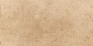 Czy spółka z O.O musi być na pełnej księgowości?