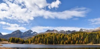 Ile wynosi staż w 2023 roku?