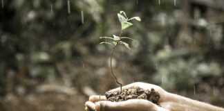 Jak widzisz swój rozwój osobisty?