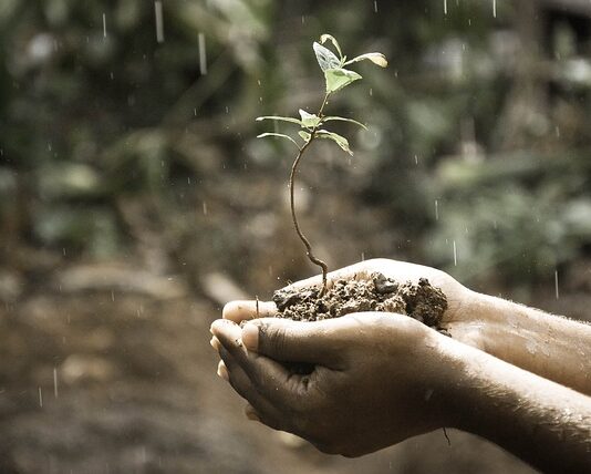 Jak widzisz swój rozwój osobisty?