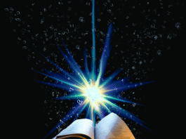 Co można robić w życiu bez studiów?