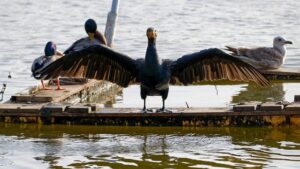 Jakie raty zawiesić w 2023? Jakie raty zawiesić w 2023?