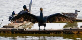 Jakie raty zawiesić w 2023?