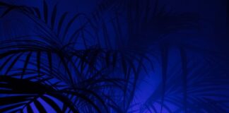 Co oznacza skrót XP na lekach?