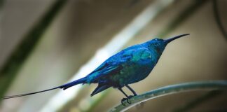 Jak rozliczyć fakturę metoda kasowa?